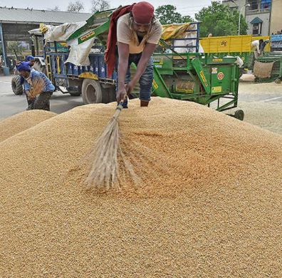 [Editorial] An MSP scheme to transform Indian agriculture