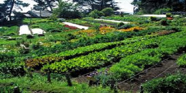 permaculture-upsc