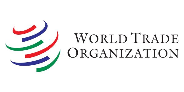 The Future of WTO