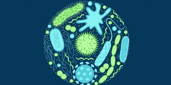 antimicrobial