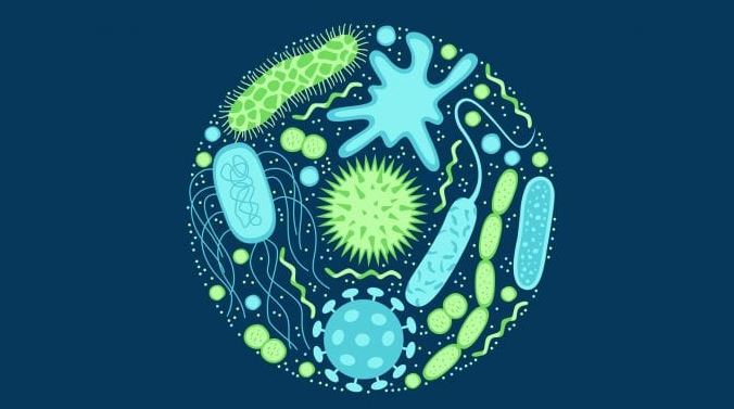 Anti-Microbial Resistance in India: Causes, Consequences & Prevention - IAS  EXPRESS