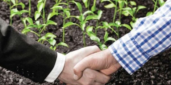 Aggregation in agriculture is still a challenge