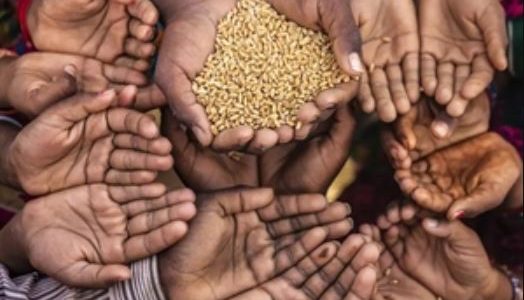 The system of free food in India – Issues and the need for a reform