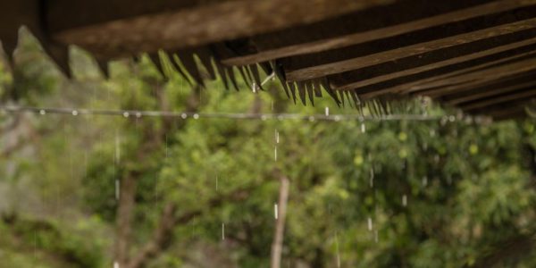 Drier pre-monsoon – Harmful impact on crop production