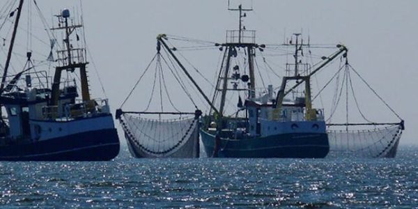 Illegal, unregulated and unprotected (IUU) fishing