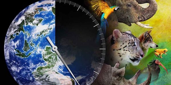Sixth Mass Extinction