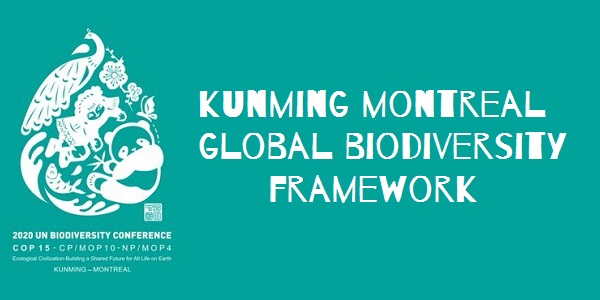 Kunming-Montreal Global Biodiversity Framework- All You Need to Know