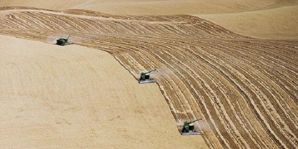 Biodiversity Loss - Role of Agriculture