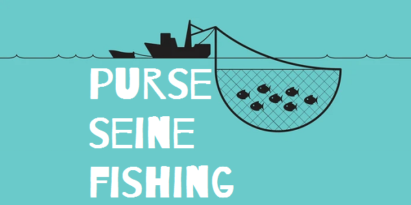 Fishing Gear: Purse Seines