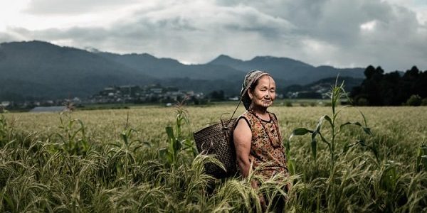 Apatanis’ Integrated Cultivation Method- Lessons in Sustainability