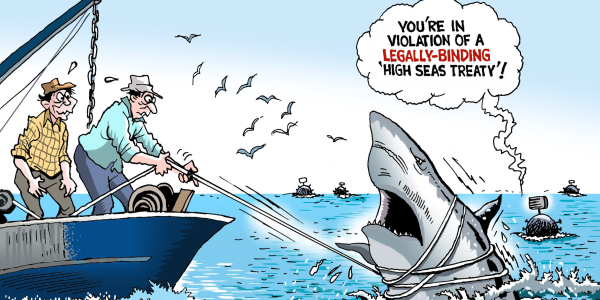 UN High Seas Treaty- Highlights, Significance, Pros & Shortcomings