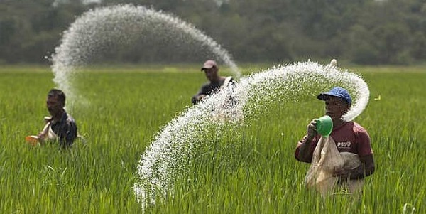 Urea Consumption in India- Background, Reasons & Solutions