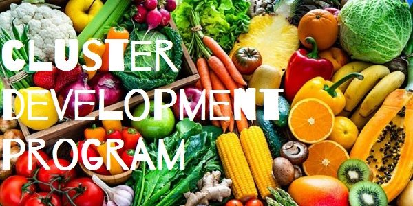 Cluster Development Program- The Issue of Power Asymmetry