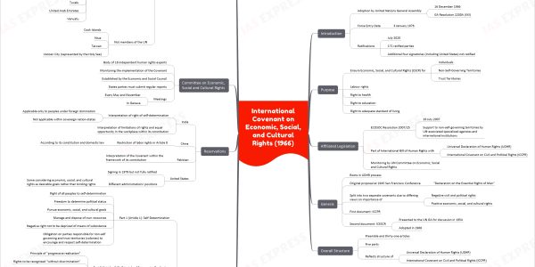 International Covenant on Economic, Social, and Cultural Rights (1966) mind map upsc