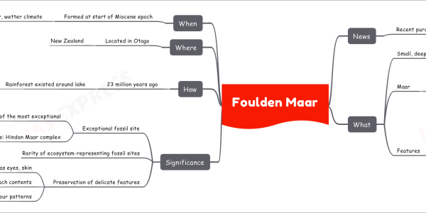 Foulden Maar News Recent purchase saved Foulden Maar From commercial mining What Small, deep ancient lake Formed 23 million years ago Maar Broad, low volcanic crater Formed by phreatomagmatic eruptions Explosions from groundwater and lava contact Usually filled with water Forming crater lakes Features Fossils of Galaxiidae family Represent entire life cycles From larval to adult stage Preserved gut contents and coprolites Inform about changing diet Fish species like Anguilla Freshwater eel Likely a top predator 270 insects From 17 genera, 15 families Across 9 orders Significance Exceptional fossil site One of the most exceptional In the country Another site: Hindon Maar complex 15 million years old Rarity of ecosystem-representing fossil sites Preservation of delicate features Such as eyes, skin Stomach contents Original colour patterns How 23 million years ago Rainforest existed around lake Diatoms bloomed each summer Upon death Sunk to lakebed Formed sedimentary layers of diatomite Preserved delicate fossils Of flowers, insects, and fish Recorded climate over 100,000 years Where Located in Otago New Zealand When Formed at start of Miocene epoch Region experienced warmer, wetter climate