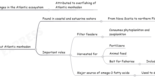Atlantic menhaden upsc notes Changes in the Atlantic ecosystem Attributed to overfishing of Atlantic menhaden About Atlantic menhaden Found in coastal and estuarine waters From Nova Scotia to northern Florida Important roles Filter feeders Consumes phytoplankton and zooplankton Harvested for Fertilizers Animal feed Bait for fisheries Including blue crab and lobster Major source of omega-3 fatty acids Used to develop human and animal supplements