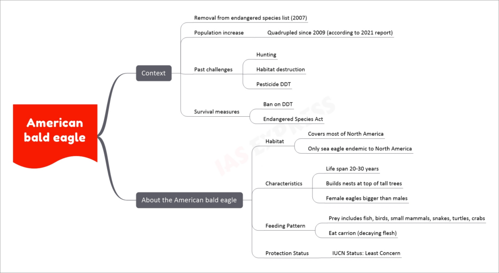 American bald eagle upsc notes
Context
Removal from endangered species list (2007)
Population increase
Quadrupled since 2009 (according to 2021 report)
Past challenges
Hunting
Habitat destruction
Pesticide DDT
Survival measures
Ban on DDT
Endangered Species Act
About the American bald eagle
Habitat
Covers most of North America
Only sea eagle endemic to North America
Characteristics
Life span 20-30 years
Builds nests at top of tall trees
Female eagles bigger than males
Feeding Pattern
Prey includes fish, birds, small mammals, snakes, turtles, crabs
Eat carrion (decaying flesh)
Protection Status
IUCN Status: Least Concern
