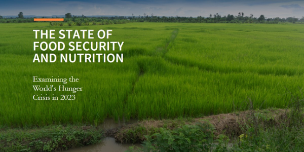 The State of Food Security and Nutrition in the World 2023 upsc notes