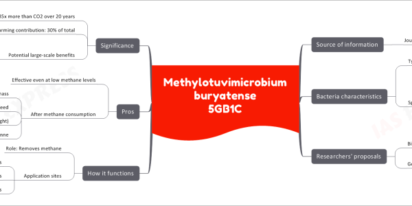 Methylotuvimicrobium buryatense 5GB1C