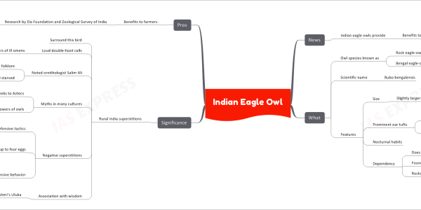 Indian Eagle Owl