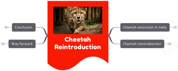Cheetah Reintroduction- Is the Project Failing?