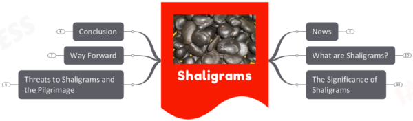 Shaligrams- Why Preserve these Stones?