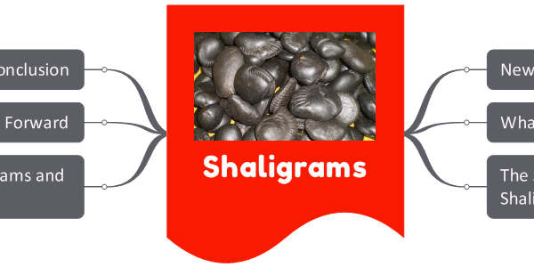 Shaligrams- Why Preserve these Stones?