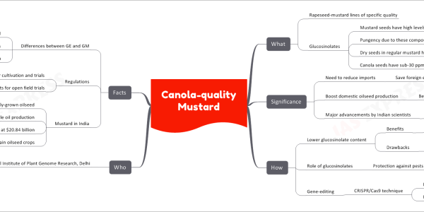 Canola-quality Mustard
