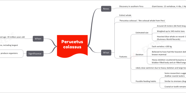 Perucetus colossus