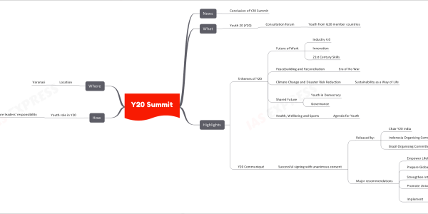 Y20 Summit