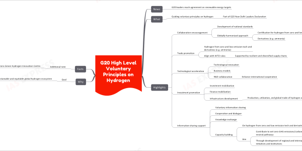 G20 High Level Voluntary Principles on Hydrogen