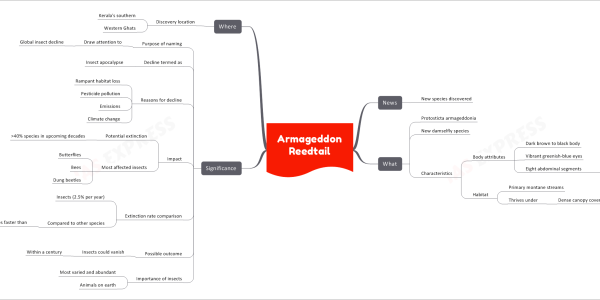 Armageddon Reedtail
