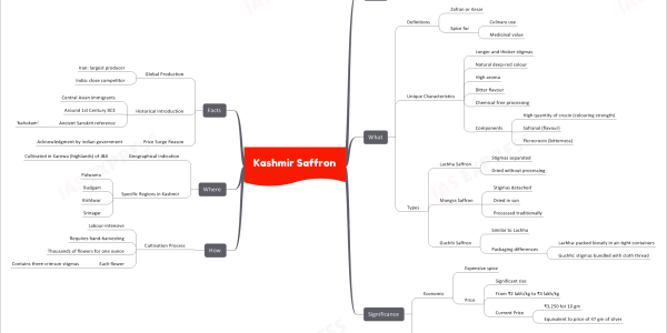 Kashmir Saffron