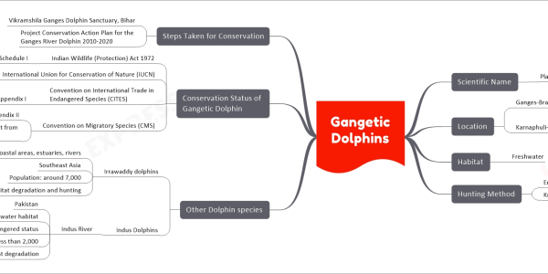 Gangetic Dolphins upsc mind map Scientific Name Platanista gangetica Location Ganges-Brahmaputra-Meghna Karnaphuli-Sangu river systems Nepal India Bangladesh Habitat Freshwater Hunting Method Emitting ultrasonic sound Known as 'susu' Other Dolphin species Irrawaddy dolphins Coastal areas, estuaries, rivers Southeast Asia Population: around 7,000 Face habitat degradation and hunting Indus Dolphins Indus River Pakistan Freshwater habitat Endangered status Population: less than 2,000 Impacted by water diversion and habitat degradation Conservation Status of Gangetic Dolphin Indian Wildlife (Protection) Act 1972 Schedule I International Union for Conservation of Nature (IUCN) Endangered Convention on International Trade in Endangered Species (CITES) Appendix I Convention on Migratory Species (CMS) Appendix II Migratory species that benefit from international cooperation Steps Taken for Conservation Vikramshila Ganges Dolphin Sanctuary, Bihar Project Conservation Action Plan for the Ganges River Dolphin 2010-2020