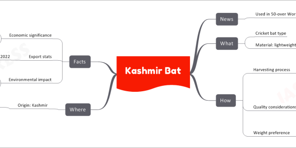 Kashmir Bat
