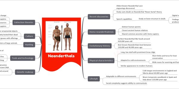 Neanderthals mind map Recent discoveries Oldest known Neanderthal cave engravings discovered Study casts doubt on Neanderthal 'flower burial' theory Speech capabilities Study on bone structure in skulls Digital reconstruction of bones Findings suggest capacity to hear and produce human-like speech Homo neanderthalensis Distinct human species Closest ancient human relatives Shared common ancestor with Homo sapiens Evolutionary history Earliest Neanderthal-like fossils around 430,000 years old Best-known Neanderthals lived between 130,000 and 40,000 years ago Physical characteristics Long, low skull with prominent brow ridge Adapted to cold environments Short limbs and torso for heat conservation Wide noses for warming and humidifying air Similar appearance to modern humans Lifestyle Adaptable to different environments Cold steppe environments in England and Siberia about 60,000 years ago Warm temperate woodlands in Spain and Italy about 120,000 years ago Social complexity suggests ability to communicate Genetic makeup Several Neanderthal genomes reconstructed from ancient DNA Modern humans have inherited around 2% Neanderthal DNA Tools and technology Made and used diverse set of sophisticated tools Controlled fire Made and wore clothing Hunting Skilled hunters of large animals Culture Made symbolic or ornamental objects Deliberately buried their dead Marked graves with offerings Extinction theories Climate change Aggression of Homo sapiens Competition for resources Interbreeding with Homo sapiens