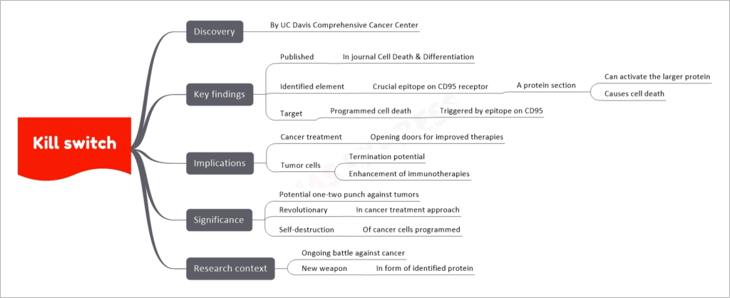 Kill switch mind map
Discovery
By UC Davis Comprehensive Cancer Center
Key findings
Published
In journal Cell Death & Differentiation
Identified element
Crucial epitope on CD95 receptor
A protein section
Can activate the larger protein
Causes cell death
Target
Programmed cell death
Triggered by epitope on CD95
Implications
Cancer treatment
Opening doors for improved therapies
Tumor cells
Termination potential
Enhancement of immunotherapies
Significance
Potential one-two punch against tumors
Revolutionary
In cancer treatment approach
Self-destruction
Of cancer cells programmed
Research context
Ongoing battle against cancer
New weapon
In form of identified protein