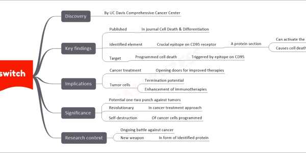 Kill switch mind map Discovery By UC Davis Comprehensive Cancer Center Key findings Published In journal Cell Death & Differentiation Identified element Crucial epitope on CD95 receptor A protein section Can activate the larger protein Causes cell death Target Programmed cell death Triggered by epitope on CD95 Implications Cancer treatment Opening doors for improved therapies Tumor cells Termination potential Enhancement of immunotherapies Significance Potential one-two punch against tumors Revolutionary In cancer treatment approach Self-destruction Of cancer cells programmed Research context Ongoing battle against cancer New weapon In form of identified protein