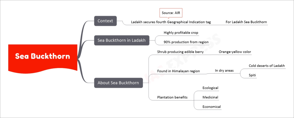 Sea Buckthorn mind map
Context
Ladakh secures fourth Geographical Indication tag
For Ladakh Sea Buckthorn
Source: AIR
Sea Buckthorn in Ladakh
Highly profitable crop
90% production from region
About Sea Buckthorn
Shrub producing edible berry
Orange-yellow color
Found in Himalayan region
In dry areas
Cold deserts of Ladakh
Spiti
Plantation benefits
Ecological
Medicinal
Economical