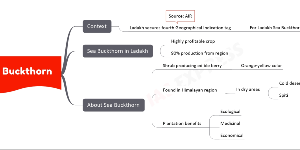 Sea Buckthorn mind map Context Ladakh secures fourth Geographical Indication tag For Ladakh Sea Buckthorn Source: AIR Sea Buckthorn in Ladakh Highly profitable crop 90% production from region About Sea Buckthorn Shrub producing edible berry Orange-yellow color Found in Himalayan region In dry areas Cold deserts of Ladakh Spiti Plantation benefits Ecological Medicinal Economical