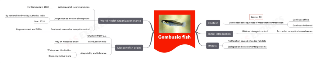 Gambusia fish mind map
Context
Unintended consequences of mosquitofish introduction
Gambusia affinis
Gambusia holbrooki
Source: TH
Initial introduction
1960s as biological control
To combat mosquito-borne diseases
Impact
Proliferation beyond intended habitats
Ecological and environmental problems
Mosquitofish origin
Originally from U.S.
Introduced in India
Prey on mosquito larvae
Adaptability and tolerance
Widespread distribution
Displacing native fauna
World Health Organization stance
Withdrawal of recommendation
For Gambusia in 1982
Designation as invasive alien species
By National Biodiversity Authority, India
Year: 2018
Continued release for mosquito control
By government and NGOs
