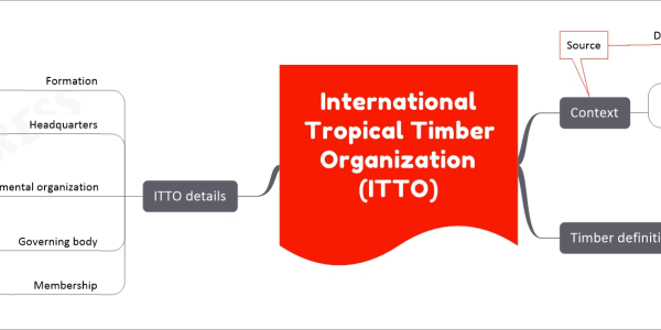 International Tropical Timber Organization (ITTO) mind map Context 59th International Tropical Timber Council (ITTC) Annual session focus Sustainable tropical forest management Trade of sustainably produced tropical timber Source DTE Timber definition Processed wood Applications Construction Furniture Other industries Primary raw material Wood industry ITTO details Formation 1986 Headquarters Yokohama, Japan Intergovernmental organization Promotes conservation Tropical forest resources Sustainable management, use, trade Governing body International Tropical Timber Council (ITTC) Membership India as founding member