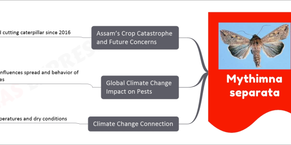 Mythimna separata mind map Severe pest infestation in Assam Affected approximately 28,000 hectares of paddy crops Across at least 15 districts Crops on verge of maturity and ready for harvest Fell victim to Mythimna separata Known as ear head cutting caterpillar, rice ear-cutting caterpillar, or armyworm Pest Behavior and Impact Mythimna separata Feeds on leaves, cuts off panicles at base of crop plants Leaves fields resembling areas grazed by livestock Rapid multiplication during outbreak Forming swarms, moving from field to field Climate Change Connection Increased temperatures and dry conditions Favorable for rapid proliferation of pest populations Temperatures in seven districts above normal In Guwahati, maximum temperature 31.4 degrees Celsius 4.5 degrees above normal average Global Climate Change Impact on Pests Warming world influences spread and behavior of pests and diseases 2017 study highlighted Small rises in global temperatures Lead to reduction in insect lifecycle Higher pest populations, increased generations Expanded geographical range, extended development season Assam’s Crop Catastrophe and Future Concerns Reports of damage by ear head cutting caterpillar since 2016 Current infestation unprecedented in scale and timing Attack occurred at final stage of crop development Leaving no room for recovery Farmers across half of state suffered substantial losses