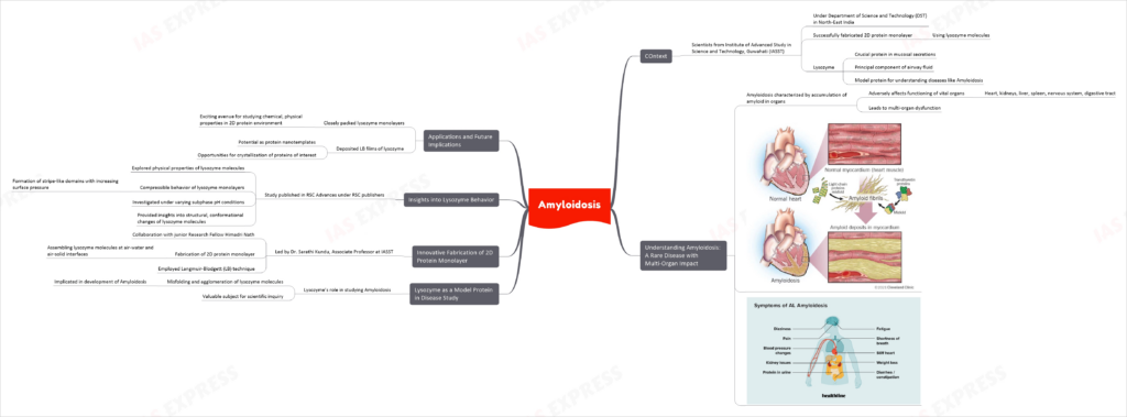 Amyloidosis mind map
COntext
Scientists from Institute of Advanced Study in Science and Technology, Guwahati (IASST)
Under Department of Science and Technology (DST) in North-East India
Successfully fabricated 2D protein monolayer
Using lysozyme molecules
Lysozyme
Crucial protein in mucosal secretions
Principal component of airway fluid
Model protein for understanding diseases like Amyloidosis
Understanding Amyloidosis: A Rare Disease with Multi-Organ Impact
Amyloidosis characterized by accumulation of amyloid in organs
Adversely affects functioning of vital organs
Heart, kidneys, liver, spleen, nervous system, digestive tract
Leads to multi-organ dysfunction
Lysozyme as a Model Protein in Disease Study
Lysozyme’s role in studying Amyloidosis
Misfolding and agglomeration of lysozyme molecules
Implicated in development of Amyloidosis
Valuable subject for scientific inquiry
Innovative Fabrication of 2D Protein Monolayer
Led by Dr. Sarathi Kundu, Associate Professor at IASST
Collaboration with junior Research Fellow Himadri Nath
Fabrication of 2D protein monolayer
Assembling lysozyme molecules at air-water and air-solid interfaces
Employed Langmuir-Blodgett (LB) technique
Insights into Lysozyme Behavior
Study published in RSC Advances under RSC publishers
Explored physical properties of lysozyme molecules
Compressible behavior of lysozyme monolayers
Formation of stripe-like domains with increasing surface pressure
Investigated under varying subphase pH conditions
Provided insights into structural, conformational changes of lysozyme molecules
Applications and Future Implications
Closely packed lysozyme monolayers
Exciting avenue for studying chemical, physical properties in 2D protein environment
Deposited LB films of lysozyme
Potential as protein nanotemplates
Opportunities for crystallization of proteins of interest