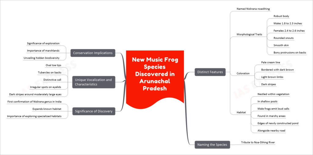 New Music Frog Species Discovered in Arunachal Pradesh mind map
Distinct Features
Named Nidirana noadihing
Morphological Traits
Robust body
Males 1.8 to 2.3 inches
Females 2.4 to 2.6 inches
Rounded snouts
Smooth skin
Bony protrusions on backs
Coloration
Pale cream line
Bordered with dark brown
Light brown limbs
Dark stripes
Habitat
Nestled within vegetation
In shallow pools
Male frogs emit loud calls
Found in marshy areas
Edges of newly constructed pond
Alongside nearby road
Naming the Species
Tribute to Noa-Dihing River
Significance of Discovery
First confirmation of Nidirana genus in India
Expands known habitat
Importance of exploring specialized habitats
Unique Vocalization and Characteristics
Oval toe tips
Tubercles on backs
Distinctive call
Irregular spots on eyelids
Dark stripes around moderately large eyes
Conservation Implications
Significance of exploration
Importance of marshlands
Unveiling hidden biodiversity