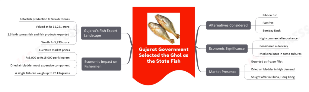 Gujarat Government Selected the Ghol as the State Fish mind map
Alternatives Considered
Ribbon fish
Pomfret
Bombay Duck
Economic Significance
High commercial importance
Considered a delicacy
Medicinal uses in some cultures
Market Presence
Exported as frozen fillet
Dried air bladder in high demand
Sought after in China, Hong Kong
Economic Impact on Fishermen
Lucrative market prices
Rs5,000 to Rs15,000 per kilogram
Dried air bladder most expensive component
A single fish can weigh up to 25 kilograms
Gujarat’s Fish Export Landscape
Total fish production 8.74 lakh tonnes
Valued at Rs 11,221 crore
2.3 lakh tonnes fish and fish products exported
Worth Rs 5,233 crore