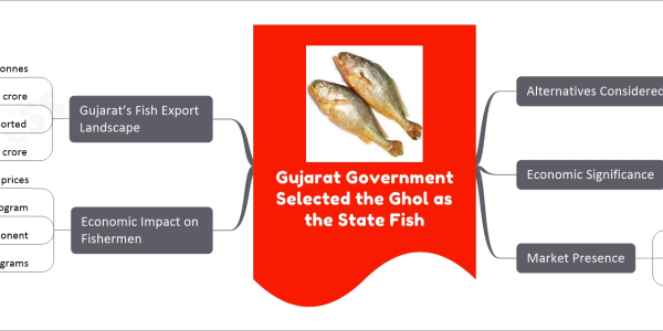 Gujarat Government Selected the Ghol as the State Fish mind map Alternatives Considered Ribbon fish Pomfret Bombay Duck Economic Significance High commercial importance Considered a delicacy Medicinal uses in some cultures Market Presence Exported as frozen fillet Dried air bladder in high demand Sought after in China, Hong Kong Economic Impact on Fishermen Lucrative market prices Rs5,000 to Rs15,000 per kilogram Dried air bladder most expensive component A single fish can weigh up to 25 kilograms Gujarat’s Fish Export Landscape Total fish production 8.74 lakh tonnes Valued at Rs 11,221 crore 2.3 lakh tonnes fish and fish products exported Worth Rs 5,233 crore