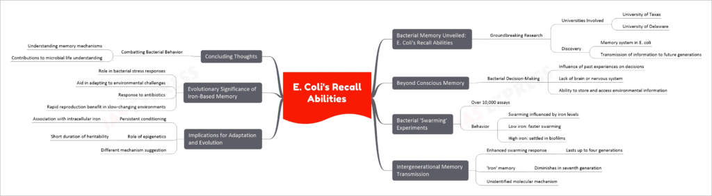 E. Coli's Recall Abilities mind map
Bacterial Memory Unveiled: E. Coli's Recall Abilities
Groundbreaking Research
Universities Involved
University of Texas
University of Delaware
Discovery
Memory system in E. coli
Transmission of information to future generations
Beyond Conscious Memory
Bacterial Decision-Making
Influence of past experiences on decisions
Lack of brain or nervous system
Ability to store and access environmental information
Bacterial 'Swarming' Experiments
Over 10,000 assays
Behavior
Swarming influenced by iron levels
Low iron: faster swarming
High iron: settled in biofilms
Intergenerational Memory Transmission
Enhanced swarming response
Lasts up to four generations
'Iron' memory
Diminishes in seventh generation
Unidentified molecular mechanism
Implications for Adaptation and Evolution
Persistent conditioning
Association with intracellular iron
Role of epigenetics
Short duration of heritability
Different mechanism suggestion
Evolutionary Significance of Iron-Based Memory
Role in bacterial stress responses
Aid in adapting to environmental challenges
Response to antibiotics
Rapid reproduction benefit in slow-changing environments
Concluding Thoughts
Combatting Bacterial Behavior
Understanding memory mechanisms
Contributions to microbial life understanding