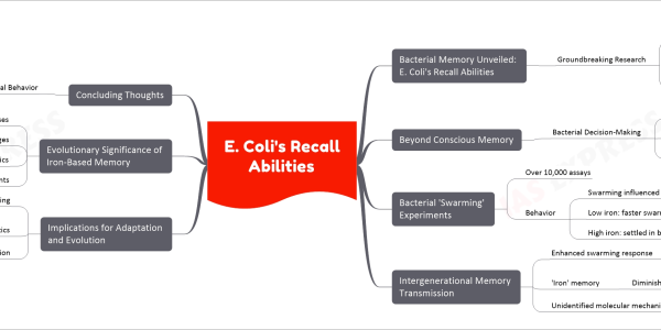 E. Coli's Recall Abilities mind map Bacterial Memory Unveiled: E. Coli's Recall Abilities Groundbreaking Research Universities Involved University of Texas University of Delaware Discovery Memory system in E. coli Transmission of information to future generations Beyond Conscious Memory Bacterial Decision-Making Influence of past experiences on decisions Lack of brain or nervous system Ability to store and access environmental information Bacterial 'Swarming' Experiments Over 10,000 assays Behavior Swarming influenced by iron levels Low iron: faster swarming High iron: settled in biofilms Intergenerational Memory Transmission Enhanced swarming response Lasts up to four generations 'Iron' memory Diminishes in seventh generation Unidentified molecular mechanism Implications for Adaptation and Evolution Persistent conditioning Association with intracellular iron Role of epigenetics Short duration of heritability Different mechanism suggestion Evolutionary Significance of Iron-Based Memory Role in bacterial stress responses Aid in adapting to environmental challenges Response to antibiotics Rapid reproduction benefit in slow-changing environments Concluding Thoughts Combatting Bacterial Behavior Understanding memory mechanisms Contributions to microbial life understanding