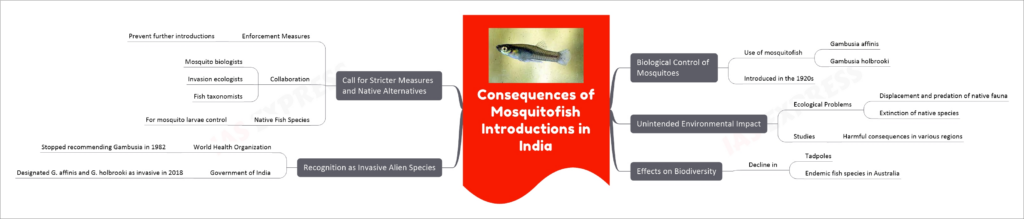 Consequences of Mosquitofish Introductions in India mind map
Biological Control of Mosquitoes
Use of mosquitofish
Gambusia affinis
Gambusia holbrooki
Introduced in the 1920s
Unintended Environmental Impact
Ecological Problems
Displacement and predation of native fauna
Extinction of native species
Studies
Harmful consequences in various regions
Effects on Biodiversity
Decline in
Tadpoles
Endemic fish species in Australia
Recognition as Invasive Alien Species
World Health Organization
Stopped recommending Gambusia in 1982
Government of India
Designated G. affinis and G. holbrooki as invasive in 2018
Call for Stricter Measures and Native Alternatives
Enforcement Measures
Prevent further introductions
Collaboration
Mosquito biologists
Invasion ecologists
Fish taxonomists
Native Fish Species
For mosquito larvae control